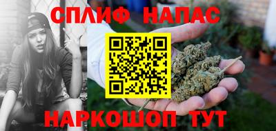 гидра Нальчик