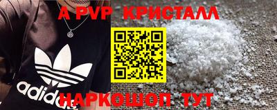 гидра Нальчик