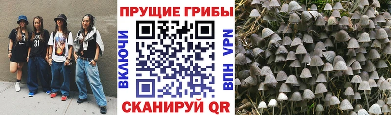где купить   Старая Купавна  мега онион  Галлюциногенные грибы прущие грибы 
